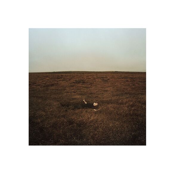 Cover von FINK - The City is coming to Erase it all