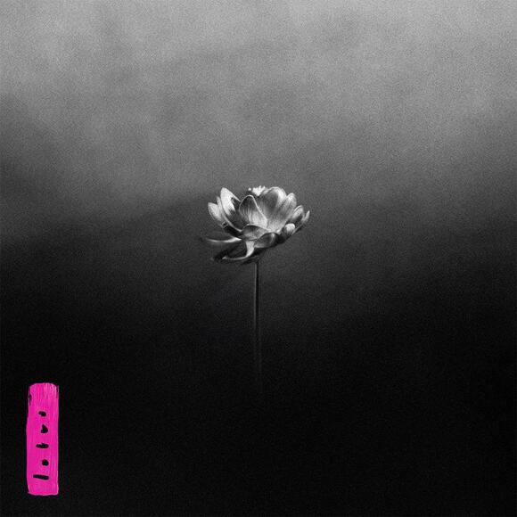 Cover LITTLE SIMZ Lotus